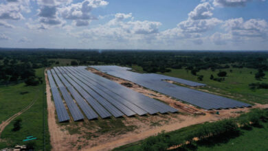 Photo of PRIMERA GRANJA SOLAR, PÉTALO DE CÓRDOBA 1, YA ESTÁ EN FASE FINAL.