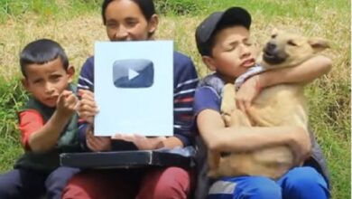 Photo of LUNA, LA MASCOTA DE LA FAMILIA CAMPESINA YOUTUBER, FUE ENVENENADA.