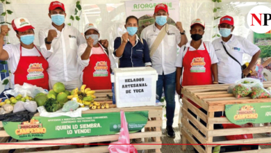 Photo of ¡TODO UN ÉXITO! MERCADO CAMPESINO EN SAN ANTERO GENERÓ GANANCIAS POR MÁS DE 18 MILLONES DE PESOS