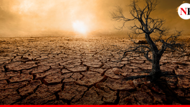 Photo of EL MUNDO YA ESTÁ VIVIENDO SEQUÍAS MUCHO MÁS DURAS Y EL FUTURO PODRÍA SER PEOR
