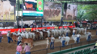 Photo of ARRANCA ‘LA FERIA DEL PUEBLO’, ESTE 10 DE JUNIO SERÁ EL LANZAMIENTO OFICIAL.