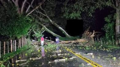 Photo of VÍA LA COSTA – MEDELLÍN FUE CERRADA POR CAÍDA DE ÁRBOLES.