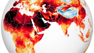 Photo of NASA REVELA COMO SE VEN LAS OLAS DE CALOR QUE AFECTAN EL PLANETA
