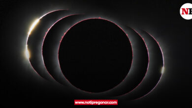 Photo of Eclípse solar extremadamente raro se podrá apreciar en el 2023