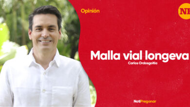 Photo of Malla vial longeva