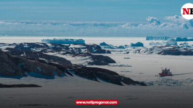 Photo of El fin del mundo y la señal en el Polo Sur que todos esperaban, ¿qué implica?