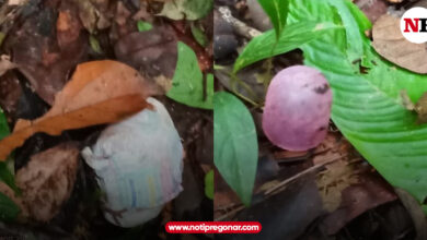 Photo of Indígenas y Ejército hallan nuevos rastros de niños desaparecidos en la selva