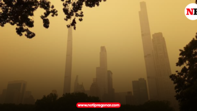 Photo of La situación de New York