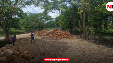 Photo of Alcaldía de Montería A Toda Máquina: 11 frentes de obra activos en la vía Jaraquiel – Leticia – Martinica