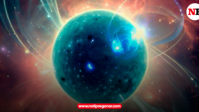 Photo of Un hallazgo científico podría revelar el origen de los objetos magnéticos del Universo