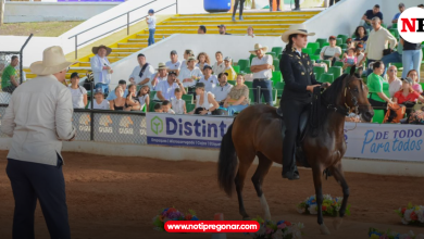 Photo of Por primera vez llega el espectáculo de la equitación a la Feria Nacional de la Ganadería