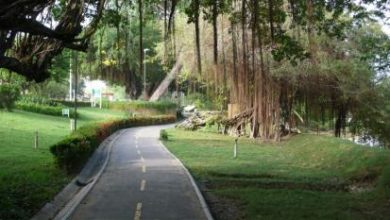 Photo of Montería tendrá una “Agencia de Espacio Público”