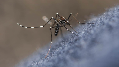 Photo of Alerta en Córdoba por muerte de menor de 6 años, posiblemente asociada a dengue
