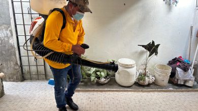Photo of Alcaldía de Cereté implementa acciones contundentes contra el dengue