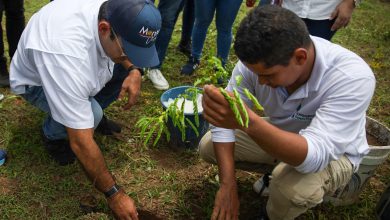 Photo of Por primera vez en Montería se adjudica contrato de Pago por Servicios Ambientales