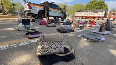 Photo of Policía decomisa 71 bolsos elaborados con pieles de animales silvestres