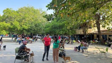 Photo of Más de 1.100 animales de compañía esterilizados en lo corrido del año, Alcaldía de Montería entrega balance y explica beneficios del programa