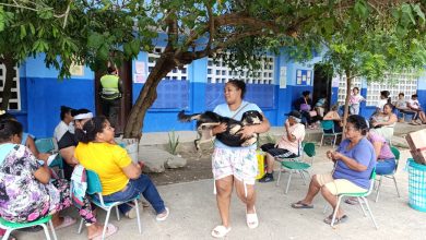 Photo of 360 animales de compañía fueron atendidos en la sexta jornada de esterilización, durante 2025 se han esterilizado 1.466