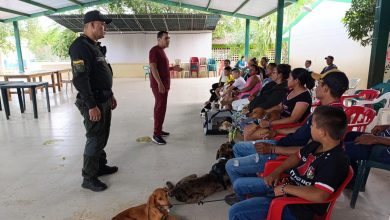 Photo of Alcaldía de Montería llevó jornada de esterilización a la zona rural y alcanza las 1.777 intervenciones en 2025