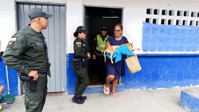 Photo of Con séptima jornada de esterilización, Alcaldía de Montería llega a los 1.680 animales de compañía atendidos