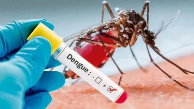 Photo of Dengue grave deja 4 muertes confirmadas en Córdoba, hay cuatro más en estudio