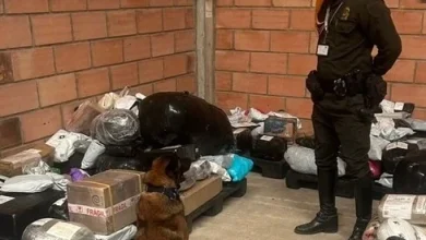 Photo of Canino detecta casi cinco kilos de droga en una bodega de envíos en Montería