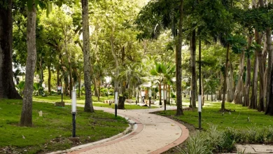 Photo of WWF destaca a la Ronda del Sinú como modelo de infraestructura verde para América Latina