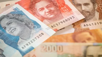 Photo of Gobierno prepara “salvavidas” para microempresas tras el golpe del salario mínimo 2026