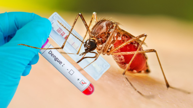 Photo of Córdoba, entre los departamentos más afectados por el dengue en 2025: alertan por alto impacto en niños y adolescentes