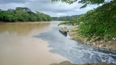 Photo of Creciente del río San Jorge pone en alerta máxima a Montelíbano: diputado Gabriel Calle pide intervención urgente