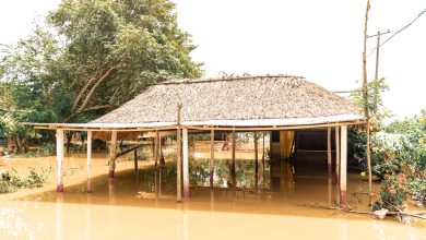 Photo of Montería enfrenta la peor crisis habitacional de su historia reciente tras inundaciones