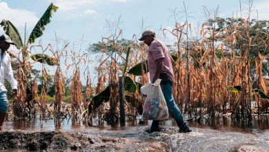 Photo of Más de 31 mil productores afectados por inundaciones en Córdoba