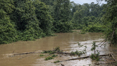 Photo of Córdoba sigue en Alerta Roja por creciente de los ríos Sinú y Canalete