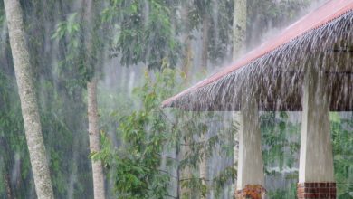 Photo of Ideam alerta por aumento de lluvias en el Caribe este fin de semana