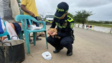 Photo of En Montería, la Policía Nacional continua llevando alimento a mascotas afectadas por las inundaciones