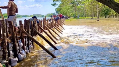 Photo of Comunidad de Lorica cierra boquete de 40 metros en el río Sinú