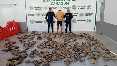 Photo of Policía recupera 243 tortugas hicoteas que iban a ser comercializadas en Semana Santa