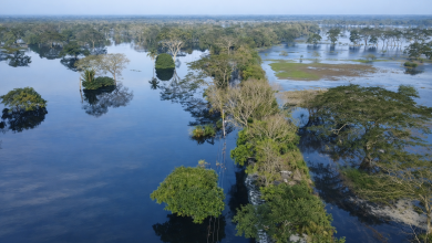 Photo of Descargas de Urrá elevarán el nivel del río Sinú y retrasarán recuperación en Montería