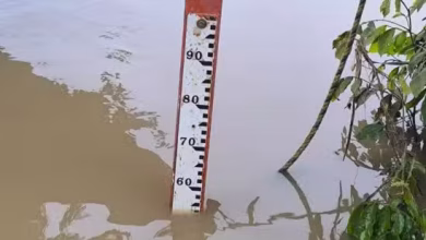 Photo of Descenso del río permite iniciar trabajos de cierre en Las Palomas