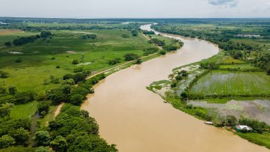 Photo of Montería retomará actividades sobre el río Sinú desde el 16 de febrero