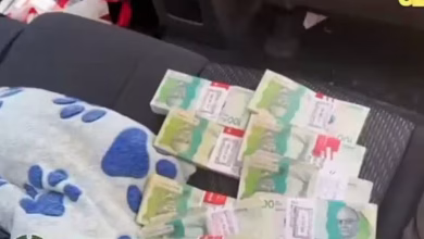 Photo of Incautan $275 millones que serían usados para compra de votos en Sucre