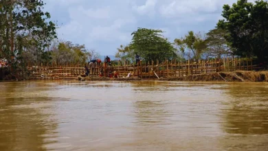 Photo of Avanzan trabajos para cerrar bocas del río Sinú en Las Palomas, Montería