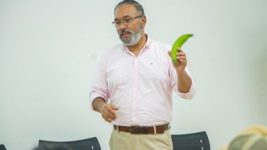 Photo of Platanicultores de Córdoba buscan reactivar el sector con apoyo de la Universidad de Córdoba