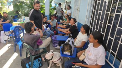 Photo of Montería lanza jornada clave de esterilización para animales vulnerables