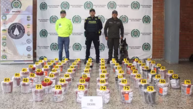 Photo of Incautan 282 kilos de cocaína camuflados en envíos en el aeropuerto El Dorado
