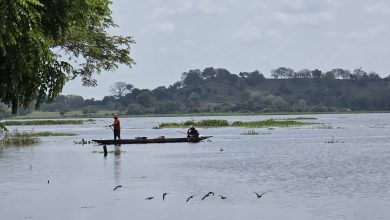 Photo of Tragedia en la Ciénaga Grande: hallan sin vida a pescador en Momil