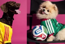 Photo of Adidas lanzó camisetas para mascotas del Mundial 2026 y Colombia está entre las elegidas
