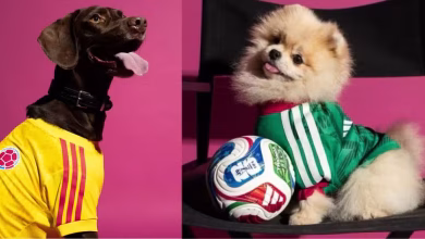 Photo of Adidas lanzó camisetas para mascotas del Mundial 2026 y Colombia está entre las elegidas