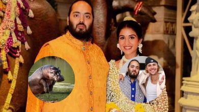 Photo of Anant Ambani: el heredero multimillonario que hoy vuelve a estar en el foco global