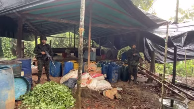 Photo of Ejército destruye seis laboratorios de coca en Tierralta y golpea finanzas del Clan del Golfo